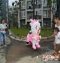 ��Ӧ�¿�ë�޵�ƿ����ͯ�����ƿ��ë�޵綯��