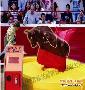 ����ֱ�������豸�����ţ����רҵ������԰����԰������ʩ�豸